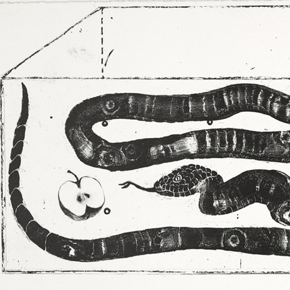 A Coiled Snake