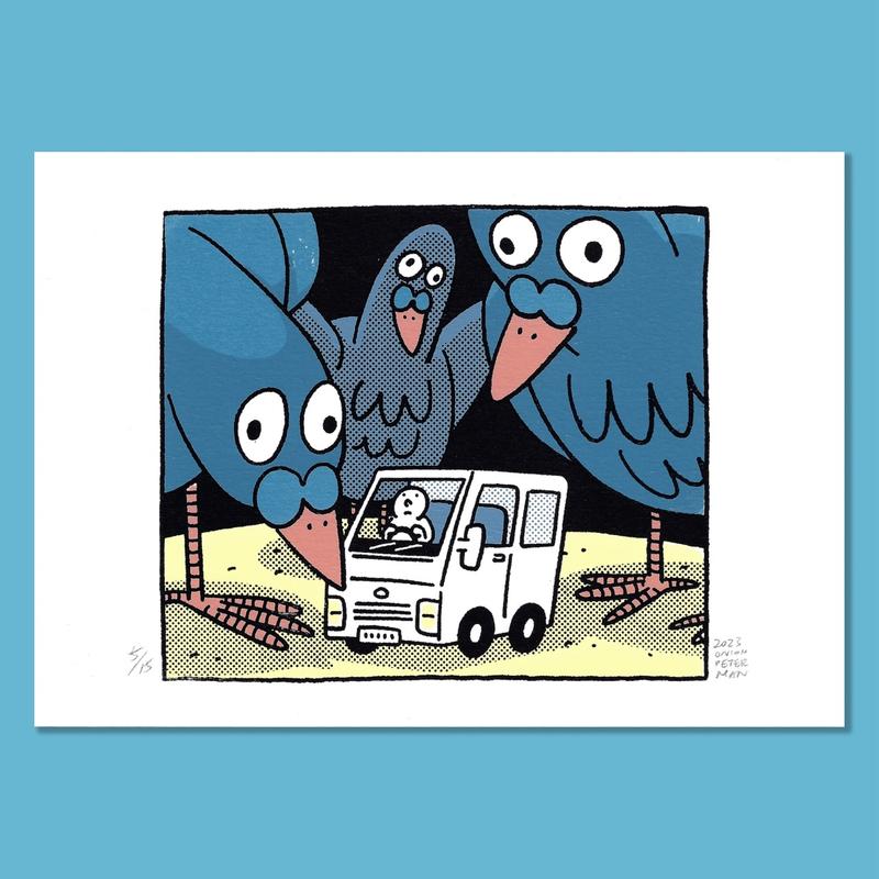 Pigeons’ Meeting