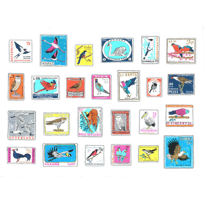International National Birds