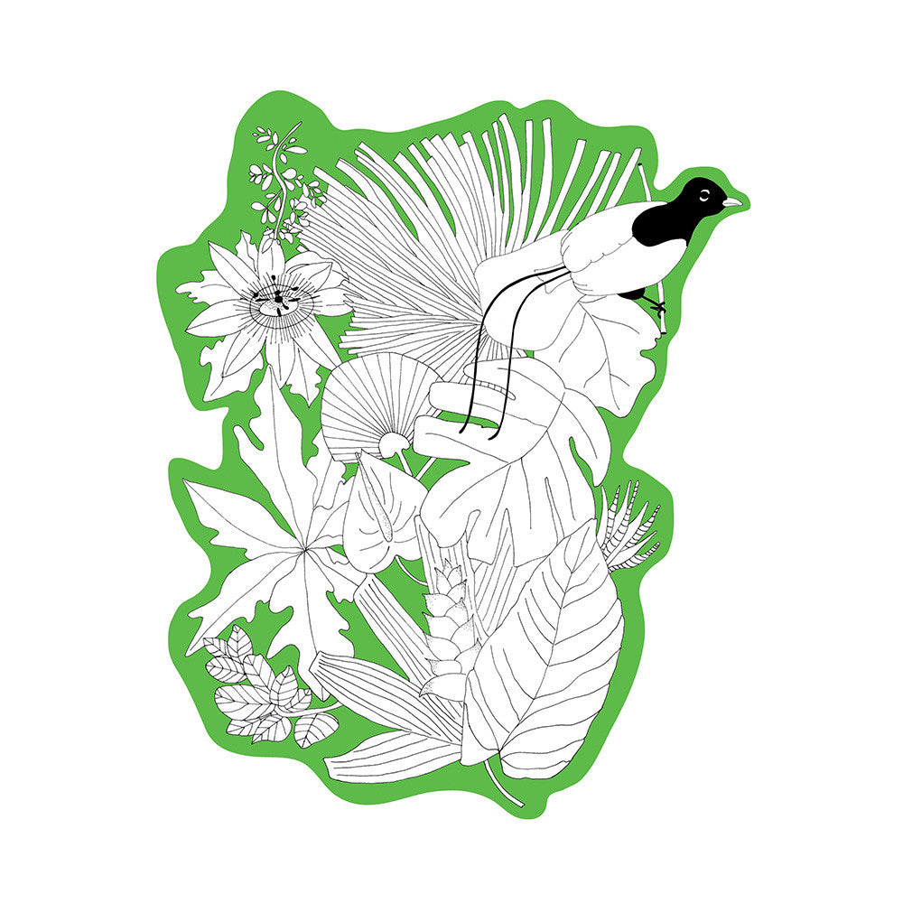 Bird of Paradise (Green)