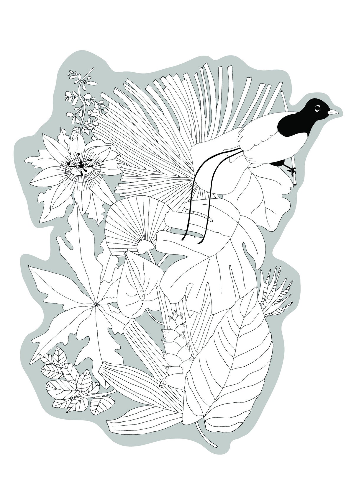 Bird of Paradise (Grey)