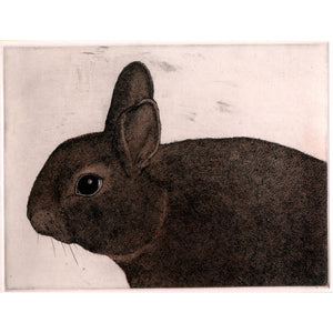 
            
                Load image into Gallery viewer, Bunny II
            
        