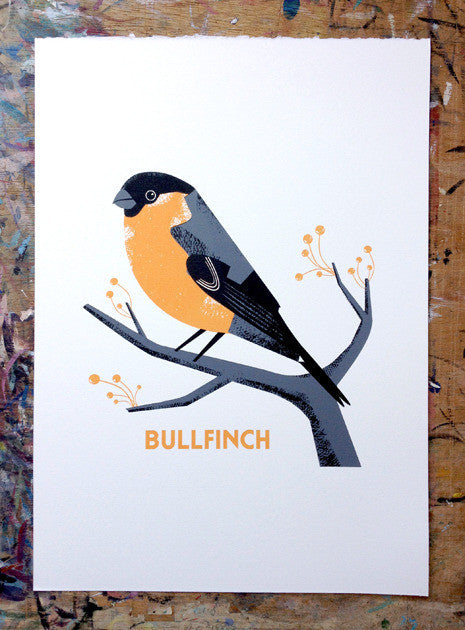 Bullfinch