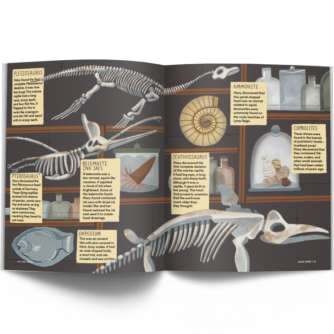 Bravery Issue nine - Mary Anning