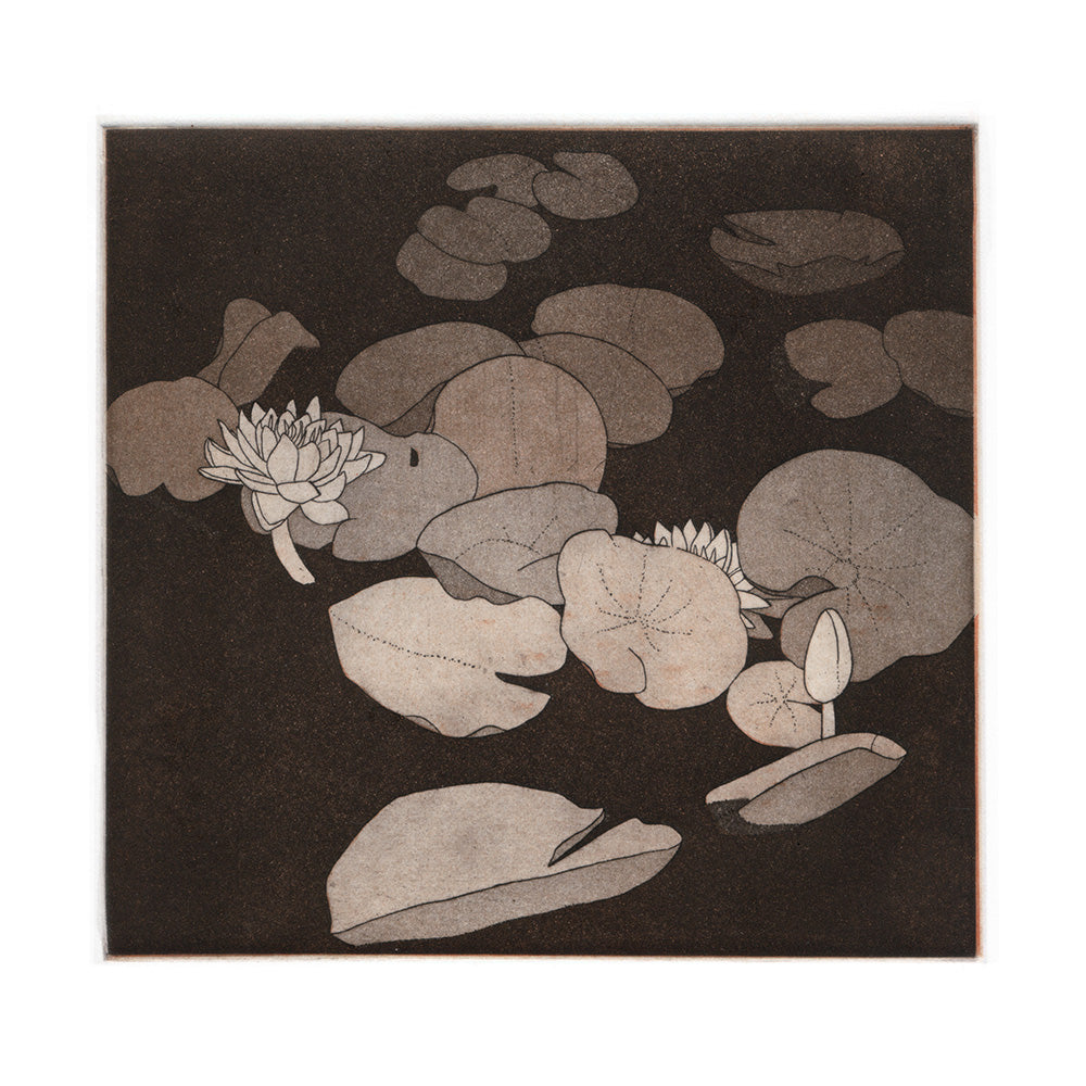Lilypond (Frame)