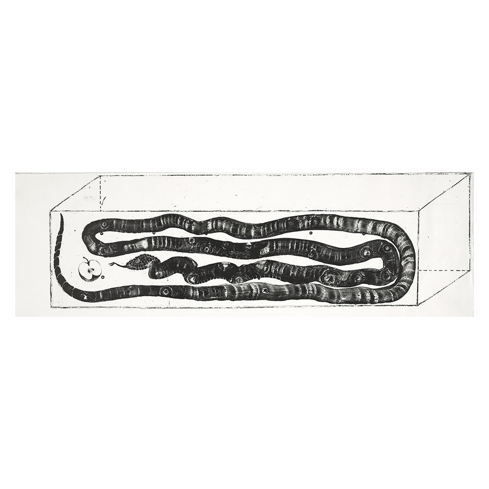 A Coiled Snake