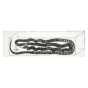 
            
                Load image into Gallery viewer, A Coiled Snake
            
        