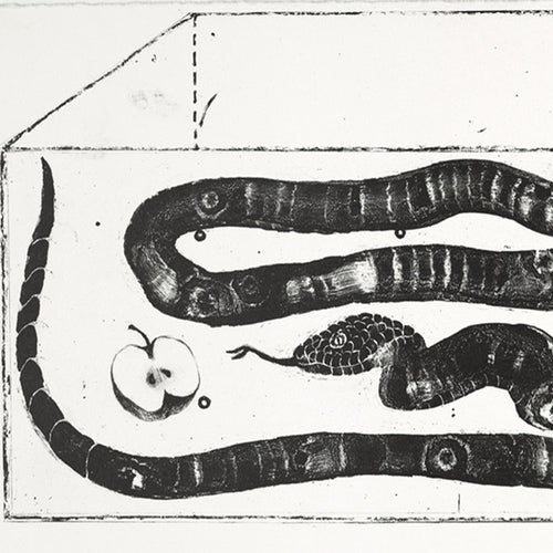 A Coiled Snake